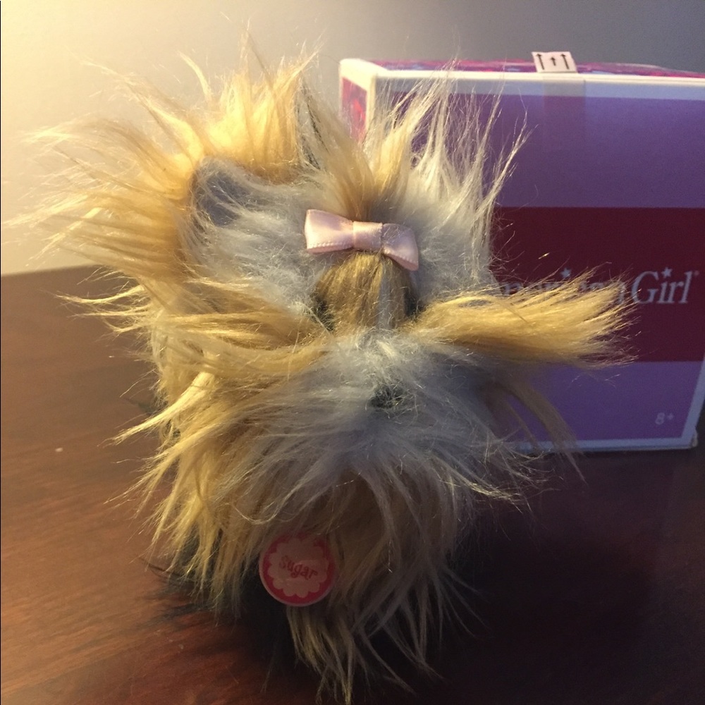 American Girl - Sugar Pet Set